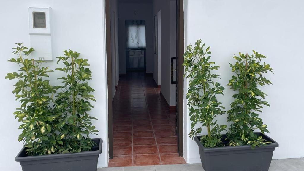 Dom wakacyjny La Casa De Mami *