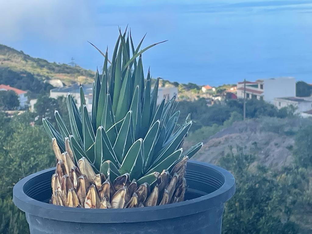 La Casa De Mami Dom wakacyjny El Tanque